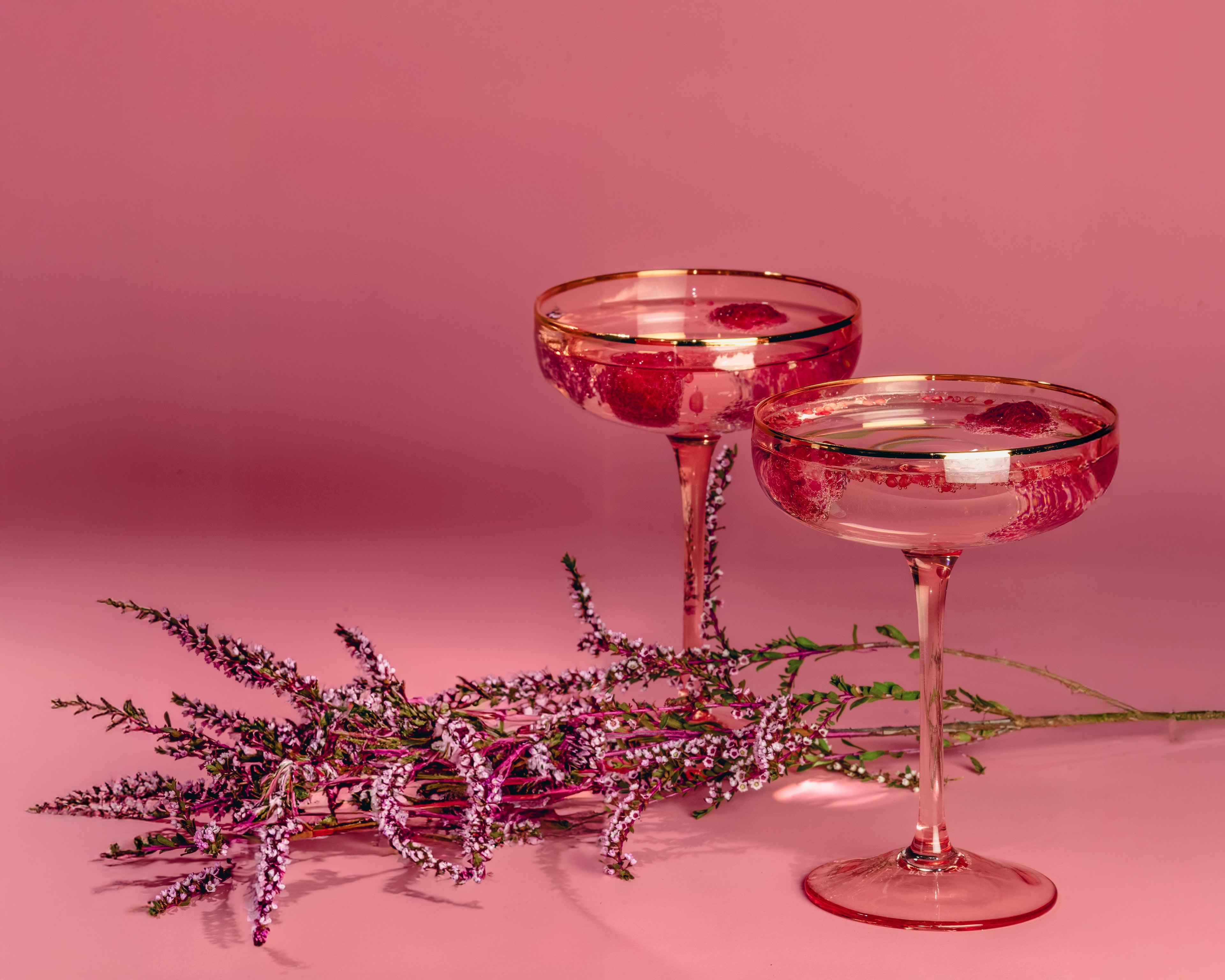 Questions about the immersive Wine & Gin Garden experiences at Floriade Canberra 2025 featuring two floral pink cocktails
